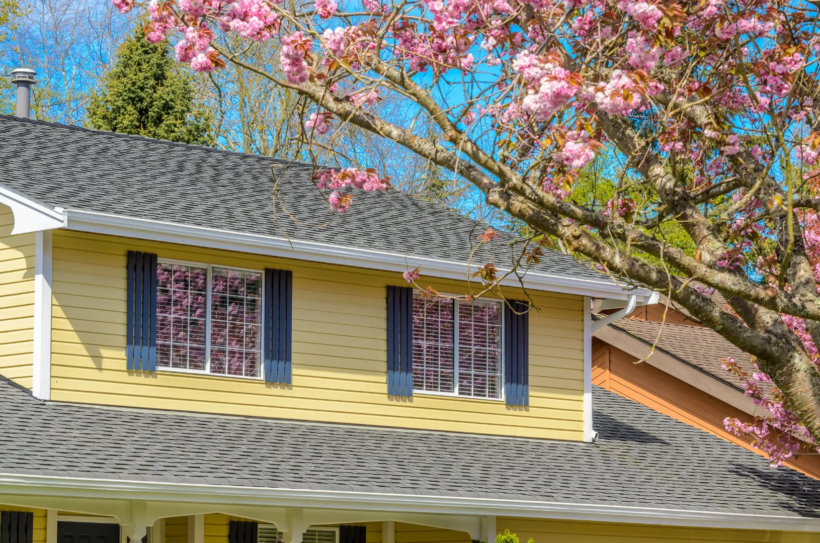 Yellow house with vinyl siding, blue window shutters, and a flowering tree